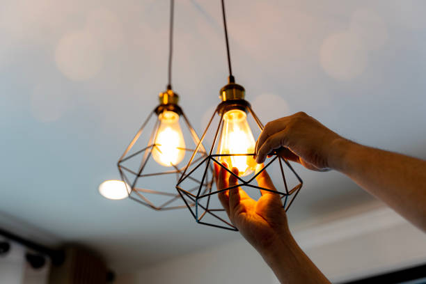 Best Affordable Electrician  in Federalsburg, MD